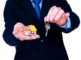 Real Estate Agencies & Brokers